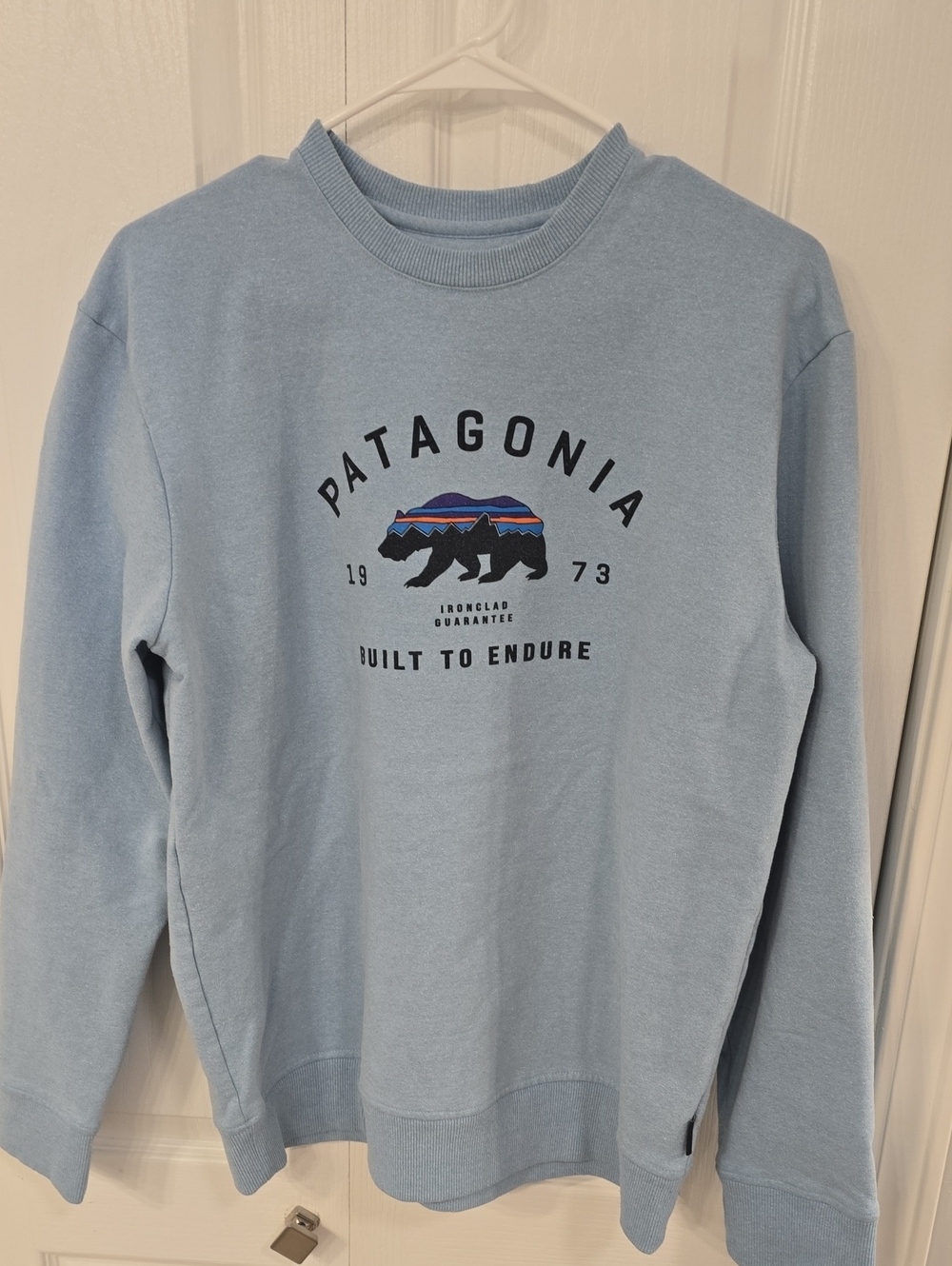 Patagonia Light Blue Crewneck Sweatshirt with Graphic Bear Logo